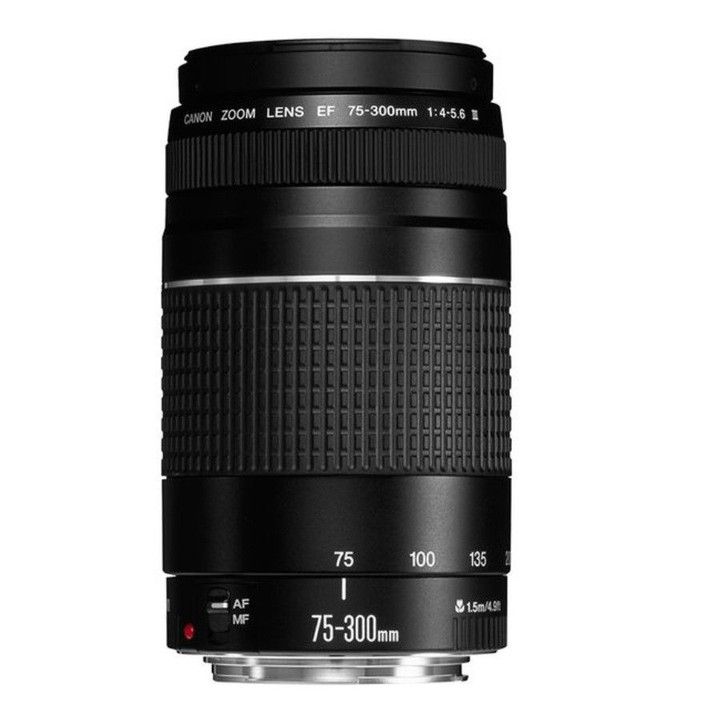 Canon camera lens Canon_EF_75-300mm